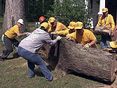 NC Baptist Men