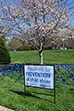 Pinwheels for Prevention