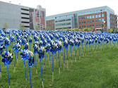 Pinwheels