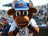 Wool E. Bull