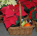 Gift basket