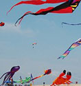 kites
