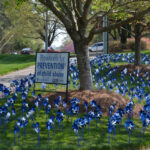 Pinwheels for Prevention