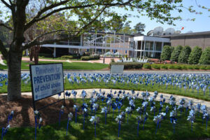 Pinwheels for Prevention