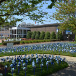 Pinwheels for Prevention