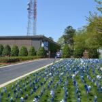 Pinwheels for Prevention