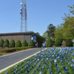 Pinwheels for Prevention