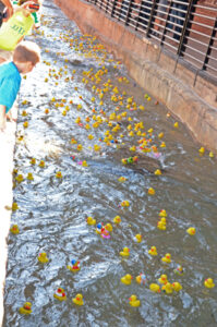 Great American Tobacco Duck Race