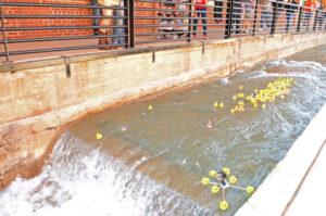 Great American Tobacco Duck Race