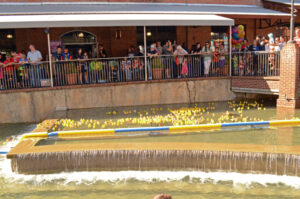 Great American Tobacco Duck Race