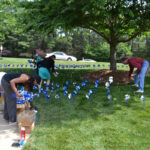 Pinwheel Garden