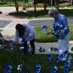 Pinwheel Garden