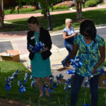 Pinwheel Garden