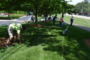 Pinwheel Garden