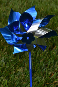 Pinwheel Garden