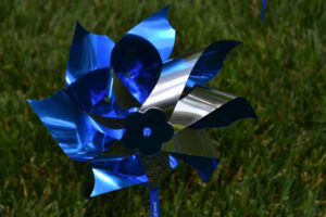 Pinwheel Garden