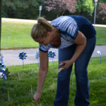 Pinwheel Garden