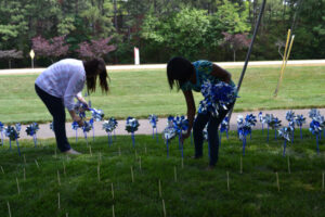 Pinwheel Garden