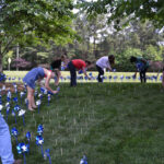 Pinwheel Garden