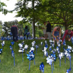 Pinwheel Garden