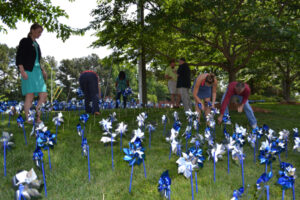 Pinwheel Garden