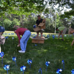 Pinwheel Garden