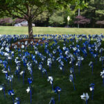 Pinwheel Garden