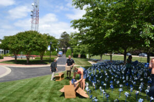 Pinwheel Garden