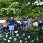 Pinwheel Garden