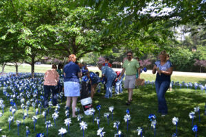 Pinwheel Garden