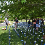 Pinwheel Garden