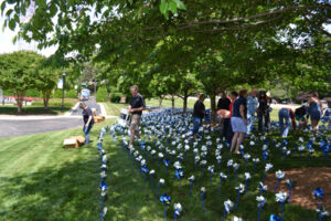 Pinwheel Garden