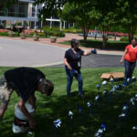 Pinwheel Garden