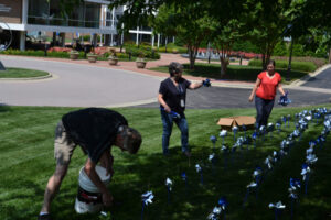 Pinwheel Garden