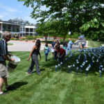 Pinwheel Garden