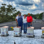 CBC bee hives