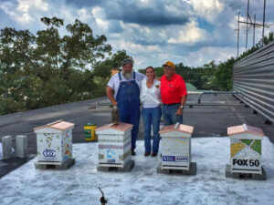 CBC bee hives