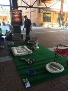 ATC Parklet Day