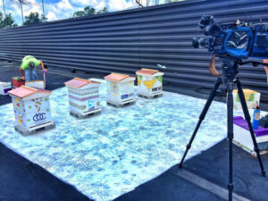 CBC bee hives