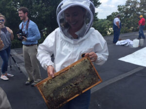 CBC bee hives