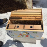 CBC bee hives