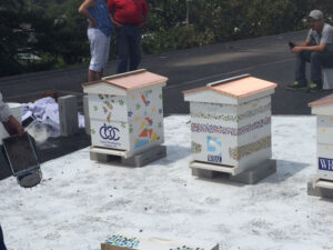 CBC bee hives