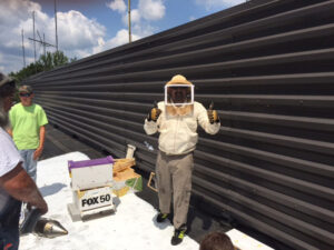 CBC bee hives