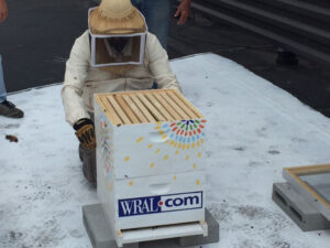 CBC bee hives