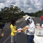 CBC bee hives