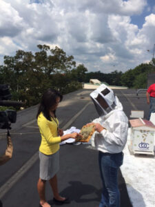 CBC bee hives