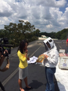 CBC bee hives