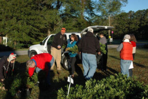 2015 WRAL Azalea Celebration