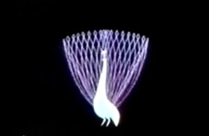 NBC peacock logo - opening