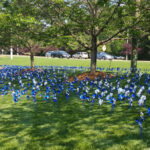 CBC pinwheel garden